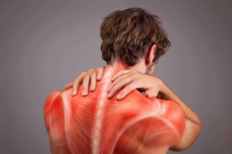 Whether you require pain management after surgery or following a treatment, our pain relief products can help put sore muscles, stiff joints and achy body parts at ease. 